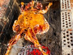 -美丽南方·老木棉匠园·团建烧烤·烤全羊