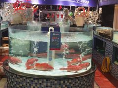 -尚海豆捞(乐虹坊店)