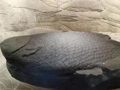 -白鹤梁水下博物馆