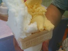 -柠檬车露(卖草地店)