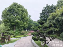 -日出青木