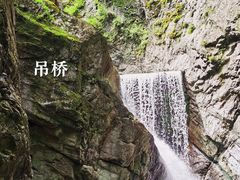 -牛背梁国家森林公园