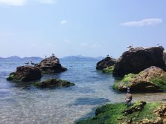 -海驴岛(荣成市)
