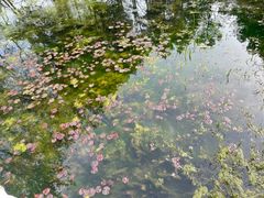 -杭州植物园