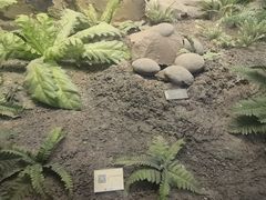 -兰溪市博物馆