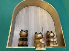 -飞行喵MR PILOT|猫舍·猫咖(静安大融城店)