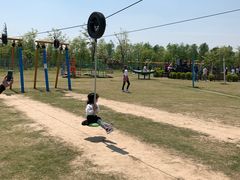 -上海长兴岛郊野公园