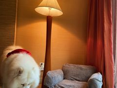 -太阳岛度假酒店