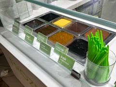 -Salud撒露欧洲冻酸奶(北苑上品店)