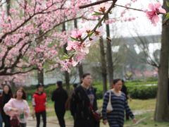 -秀丽东方