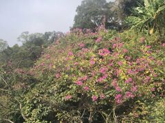 -白云山索道-售票处