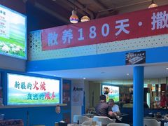 -撒拉花儿·新疆菜·清真(太阳宫店)