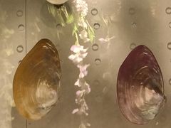 -海合安武汉极地海洋公园