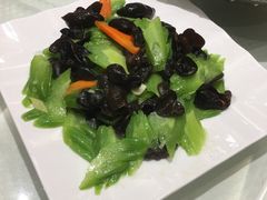-双井轩(双井店)