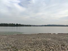 -东湖落雁景区