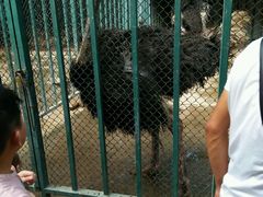 -祥源·阜阳生态乐园