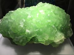 -湖南省地质博物馆