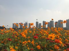 -映月湖中央公园