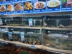 -燕春楼(海河华鼎店)