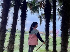 -黄海国家森林公园