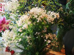 -dotcom coffee古点咖啡(致真大厦店)