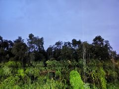 -南沙十九涌渔人码头-南门