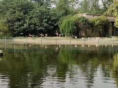 -西安秦岭野生动物园