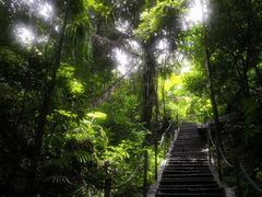 -七仙岭温泉国家森林公园