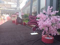 -OCT PARK欢乐时光