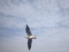 -海埂大坝
