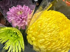 -越秀西湖花市(广州城市广场花卉店)