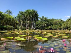 -中国科学院西双版纳热带植物园