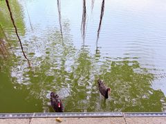 -珠海圆明新园