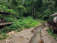 -西双版纳原始森林公园