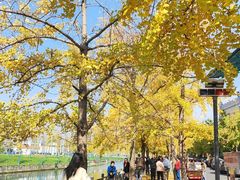 -成都市活水公园