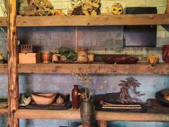 -三圣花乡旅游区