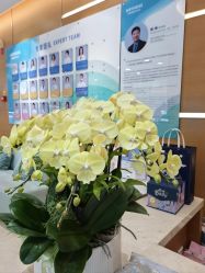 -杭州贝瑞斯美华妇儿医院·早孕·产检·儿科