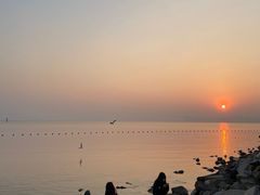-深圳湾公园(南山区)