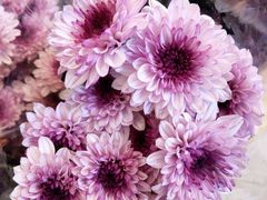 -茶马花街(城西银泰城店)