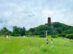 -红花山公园
