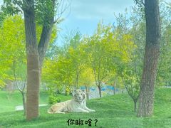 -北京野生动物园