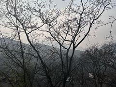 -土城古镇