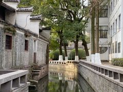 -月湖公园