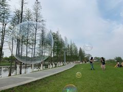 -瑶湖郊野森林公园