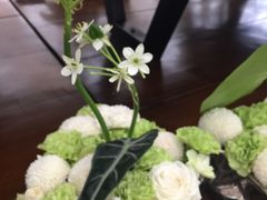 -荷兰花海