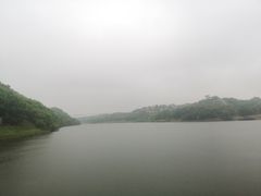 -大青沟风景区