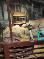 -酷嗒动物文化乐园(cutezoo西溪乐天城店)