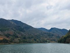 -后柳水乡