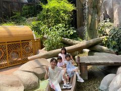 -杭州开元森泊度假乐园