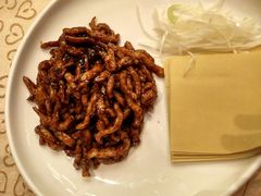 -大鸭梨烤鸭店(花园村店)